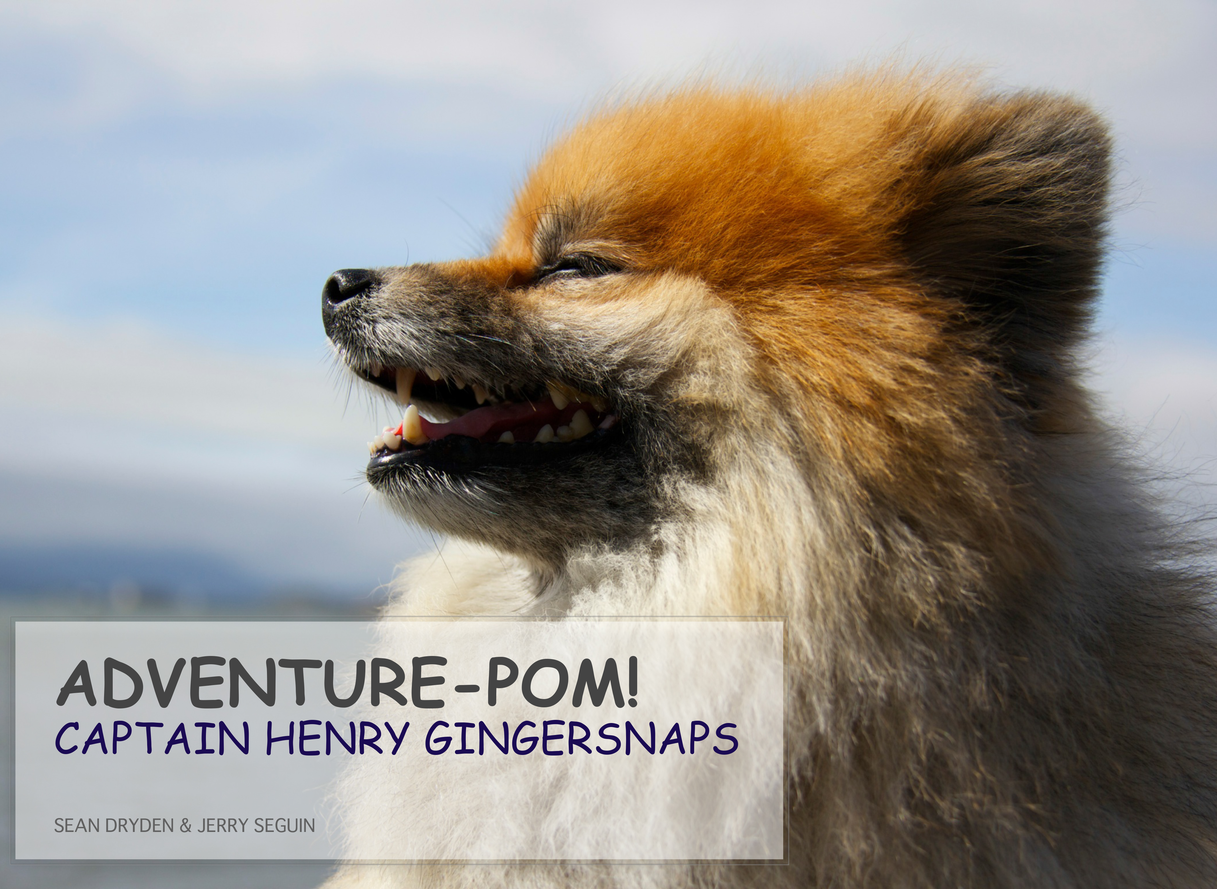 Adventure Pom! Captain Henry Gingersnaps cover
